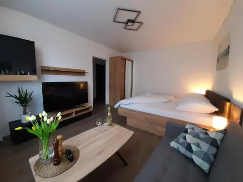 Private Apartment Rozvadov
