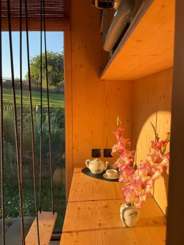 Zenbox Satori - the place to ease your mind