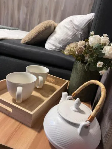 Apartmán Třemošná