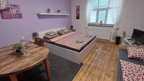Ubytovaní U Dvora
