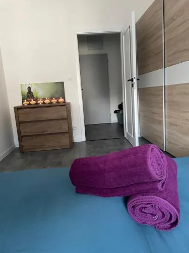 Central APT Opava