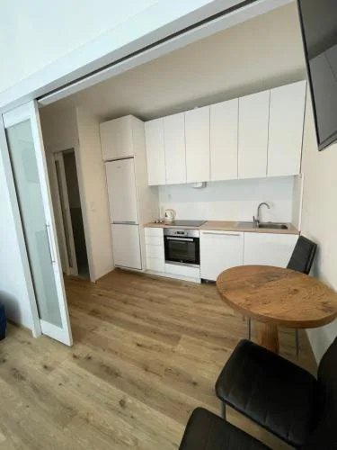 Vintage Apartment Ostrava centrum - Free Parking