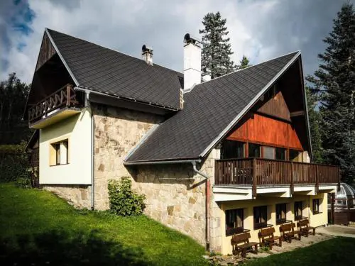 Villa in Staré Hamry near Ski Park Grun