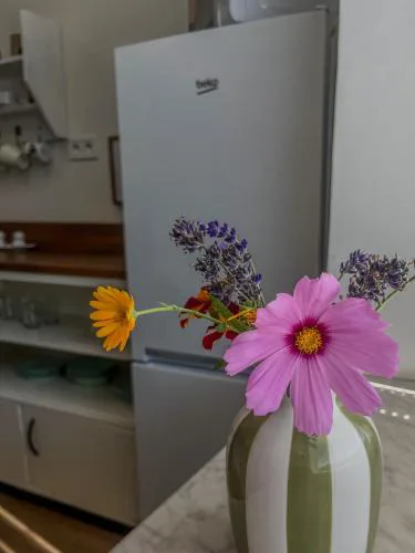 Apartmá se zahrádkou