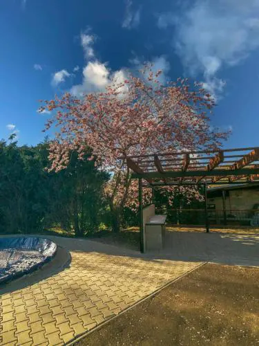 Apartmány Pod hřebeny