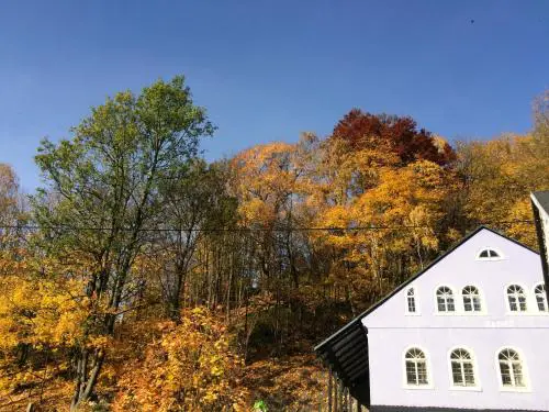 UBYTOVÁNÍ u BRABANTÍKA