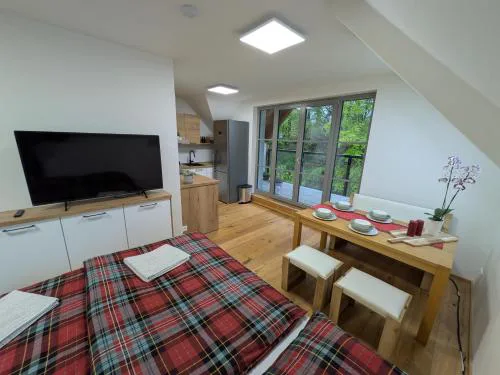 Apartmán A10 v centru Harrachova