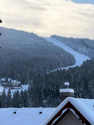 Brand New Family Apartment in Harrachov Center with Garage & Mountain View