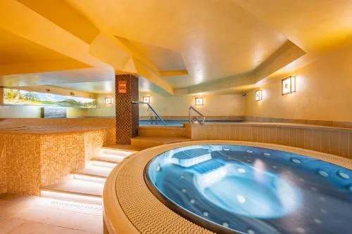 David Wellness Hotel