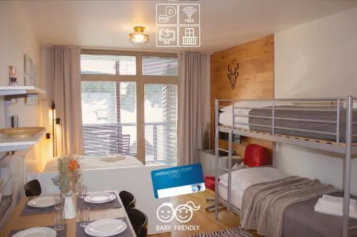 ENJOYHARRACHOV - Atraktivní slunné studio Čertovka v centru Harrachova s garážovým parkováním, Wifi-WLAN, Ipad, SAT, herní konzolí, Netflix zdarma a nejkrásnějším výhledem na Čertovu horu s areálem skokanských můstků a sjezdovku jen 150m od lanovky