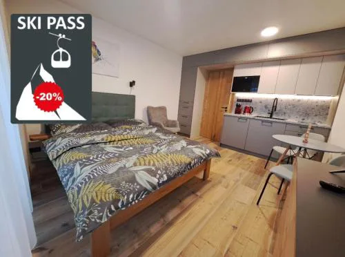 Modern Alpine Apartment Corso Harrachov