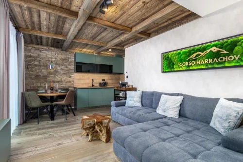 Mountain Apartment No 209-CORSO Harrachov, High Speed WI-FI, Ambilight smart TV, Netflix, YouTube, FREE parking, PRIVATE ski storage, "Ski-in Ski-out", HARRACHOVCARD