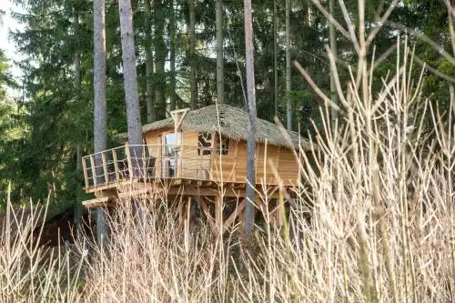 Treehouse U rybníka