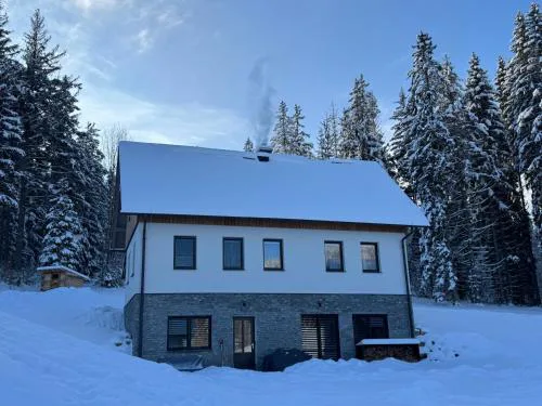 Apartmán U lesa
