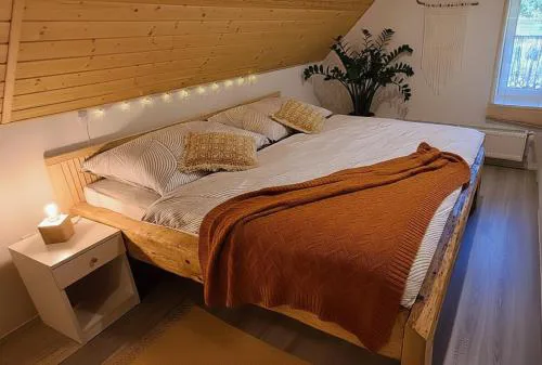 Apartmán u Ještěrky s finskou saunou v ceně