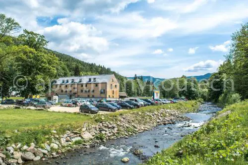 Apartmán v Koutech