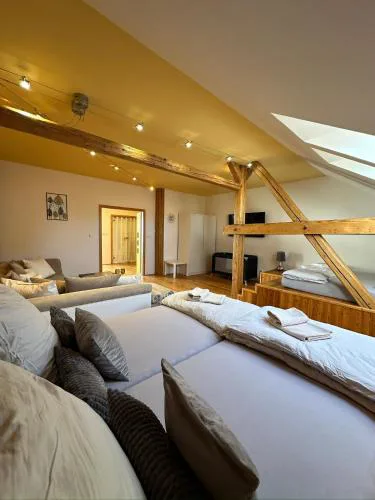 Apartmán u Dómu