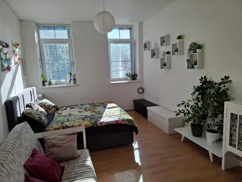 Apartmán u parku