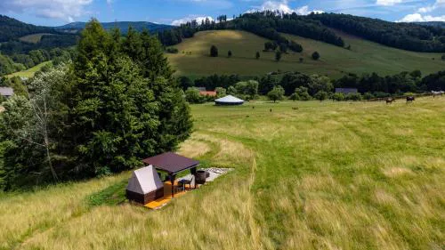 Glamping s piknikem u koní