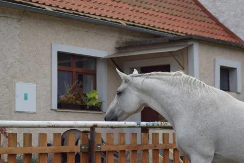 Apartmán na statku