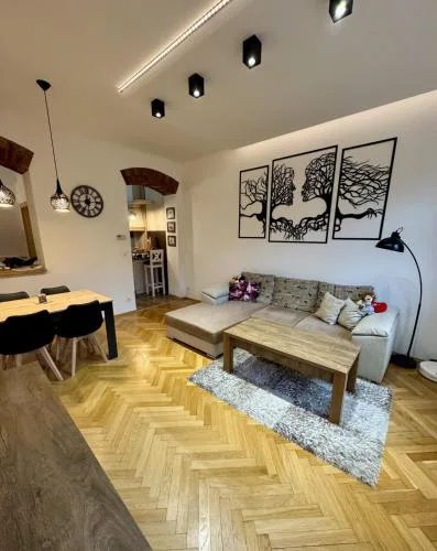 Privately owned apartment near Karlovy Vary