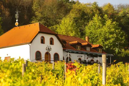 Hotel a vinařství Sádek