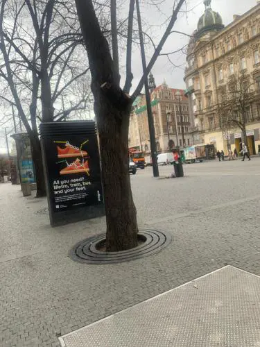 Mrdka spermie
