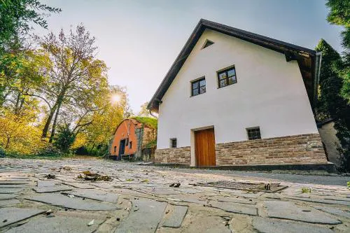 SKLÍPEK POD STOLOVOU HOROU