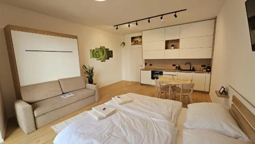 Apartmán u Karla