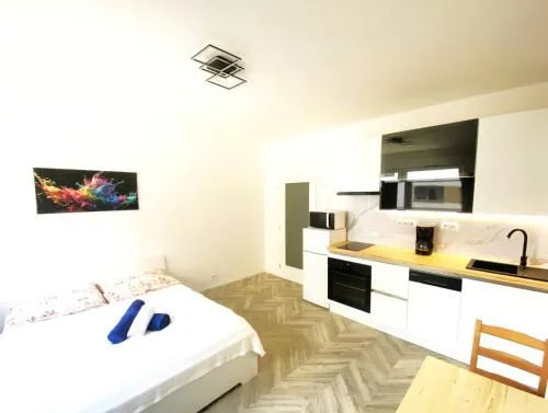 Apartment Brno Center