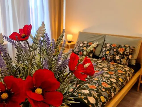 City Center Apartments - Měšťanský dům Minoritská III