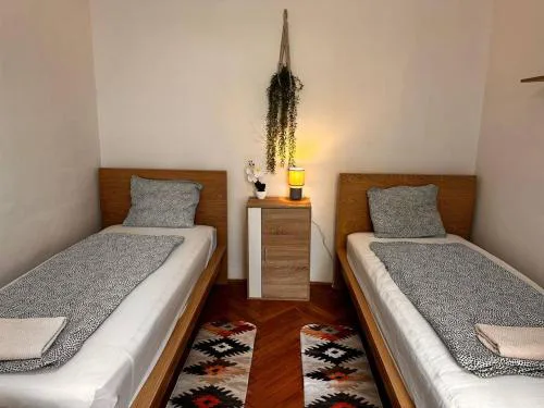Family & Group Flat with Terrace near Main Station