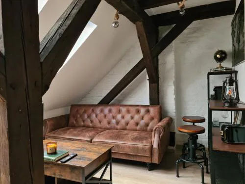 Heritage Beam Loft Brno