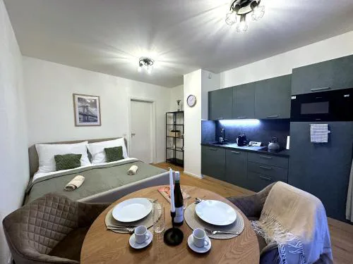 Olive City Studio with kitchen