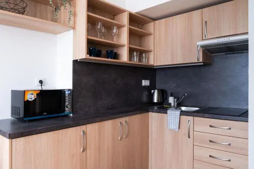 Studio apartment in Brno-center