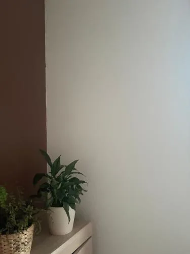 Terrace Apartment