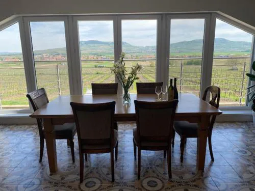 APARTMÁNY - Archivní sklep