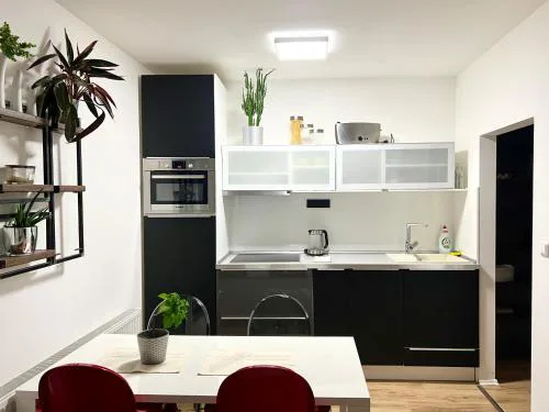 Apartment Brno- BBQ terrace