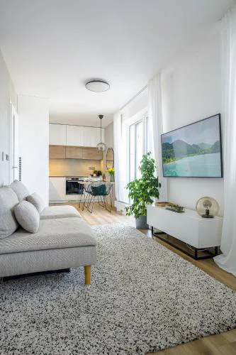 Luxury Flat in Brno GreeN SoHo