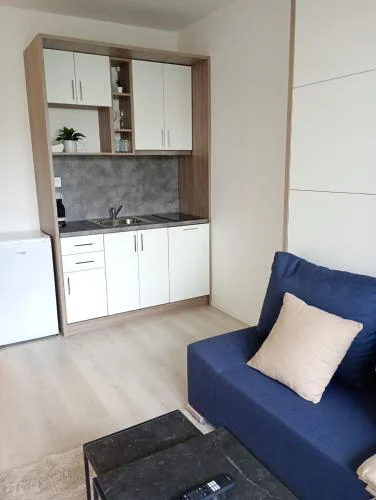 Apartmán v blízkosti centra Brna