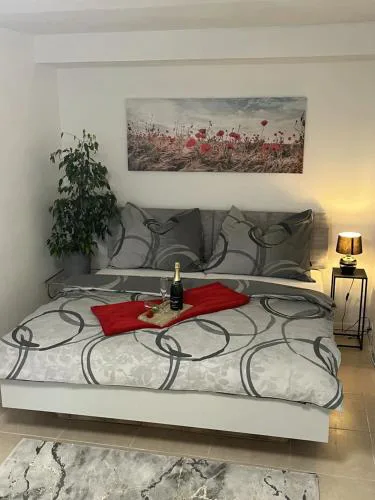 Apartman Collie