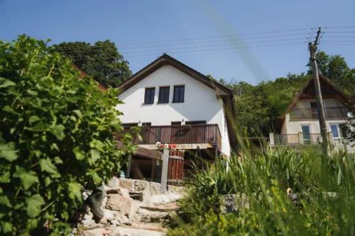 Penzion Šedivý