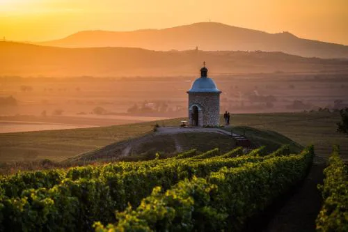 Vinoza - ubytování a vinný sklep Velké Bílovice Rulandová