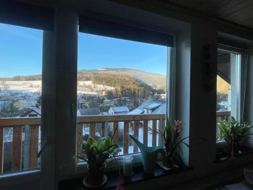 Apartmán Čížci Horní Maršov