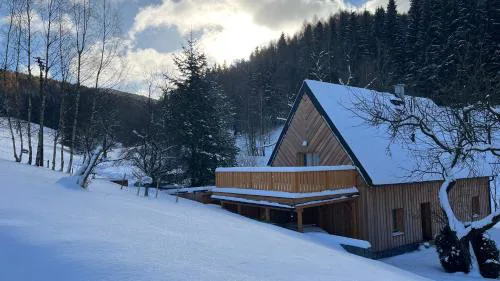 Apartmán Teronova bouda