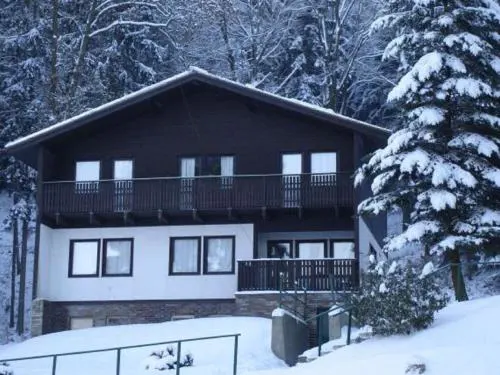 Chalet in Dolní Brusnice near Ski Lift