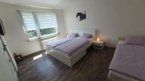 Apartmán Broumov