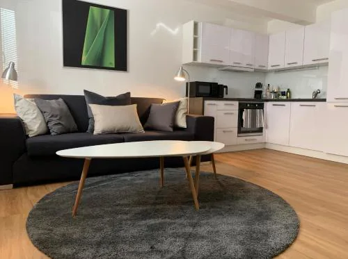 AP 1 - Apartments 4U Březinova "Overnight Simply"