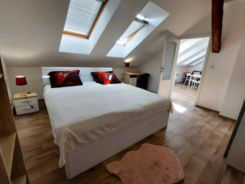 Charming Apartment in Historic City Center 40 m