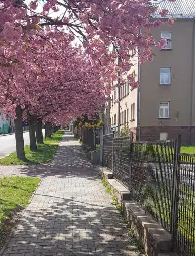 Apartmán Kumburská - Nová Paka